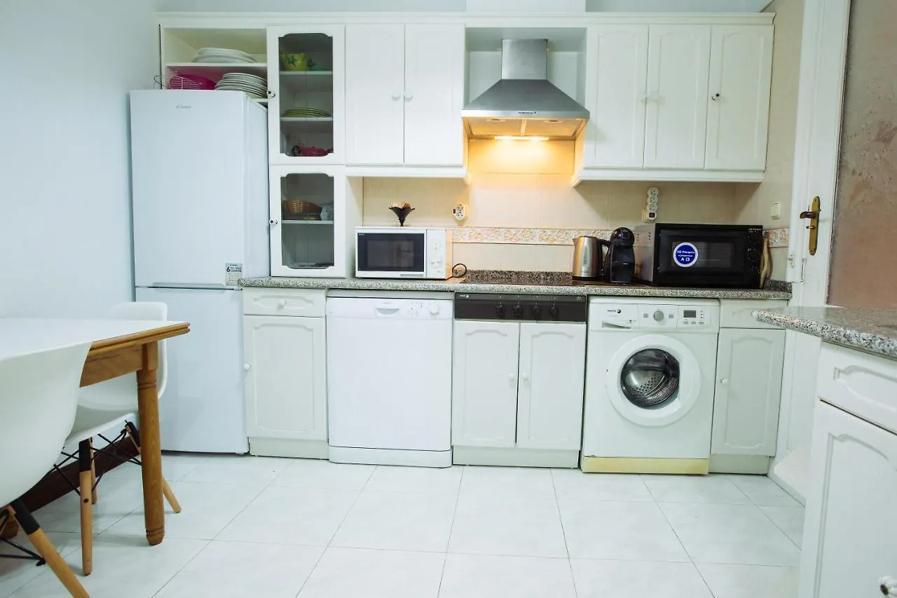 Apartamento Centrico Junto Estacion Tren Y Autobus San Sebastian Spain